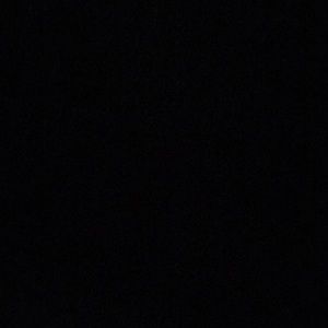 Meet your Posher, Sophia